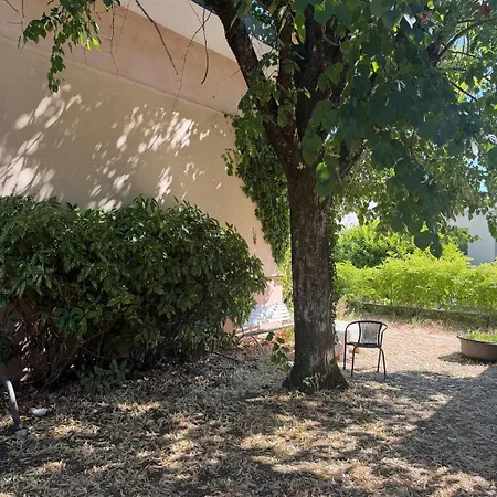 Charmante Maison Vintage Familiale Avec Jardin * Dijon